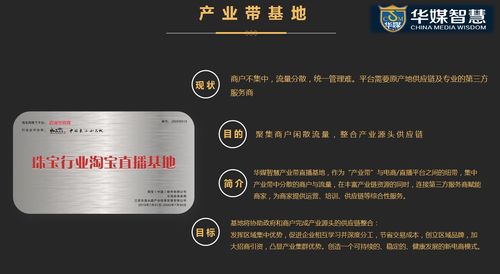 华媒智慧运营模式与市场策略为何一夜走红？解读代理代办背后的流量密码